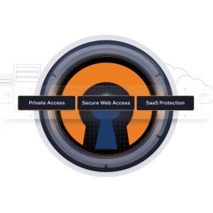 openvpn config file (Duration: 1 month)